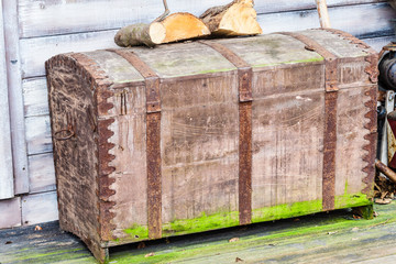 Vintage case covered in moss with wood on it