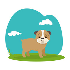 Obraz na płótnie Canvas cute dog isolated icon vector illustration design