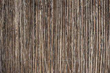 The wall of the reed stalks. The background of reeds. Wood texture of an old reed, straw partition, curtain for abstract backgrounds for design cover. Brown and gray vintage horizontal wooden texture