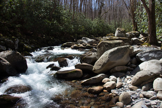 Mountain Stream