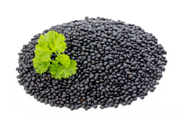 Lentin beluga. Black Lentins.Isolated on the white background.