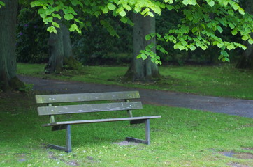 Bench in park