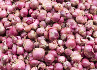 Red onion close up