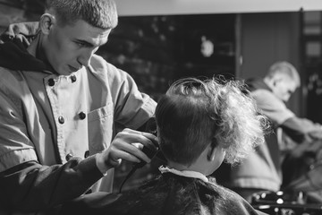 Little Boy Getting Haircut By Barber  