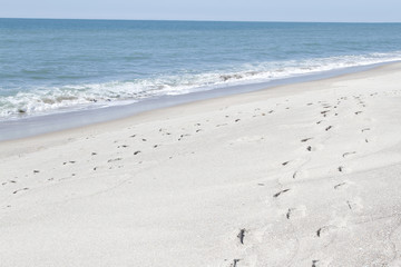 Footprints in sand at the beach