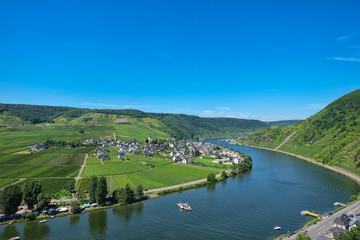 Obraz premium Mosel Panorama bei Beilstein mit Fähre und Dorf Idylle