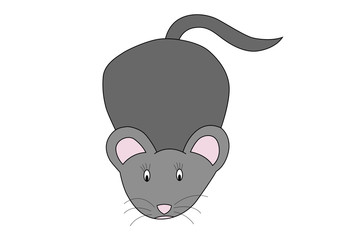 illustration of little grey mouse on white background