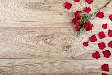 Red fabric rose and rose petals on a wood background