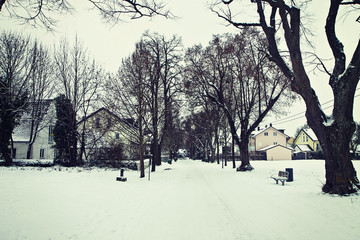 Winter urban view, alley covered by snow flanked by trees and houses