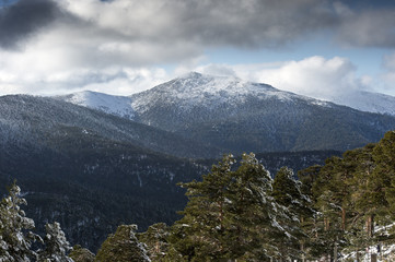 Winter landscape. Mountain.