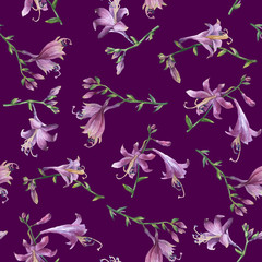 Seamless pattern with branch of purple hosta flower. Lilies. Hosta ventricosa minor, asparagaceae family. Hand drawn watercolor painting on purple background.