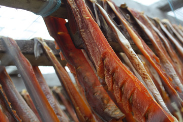 Fish drying, Gjoa Haven, Canada