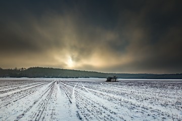 Fototapeta na wymiar Winter snowy fields and foggy day