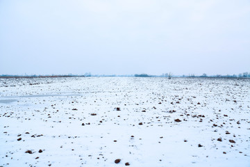 Empty agricultural land at winter