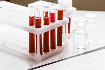 glass tubes with blood sample in stand no one