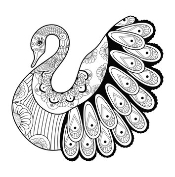 Vector illustration of a decorate swan for coloring book, cigno decorato vettoriale da colorare
