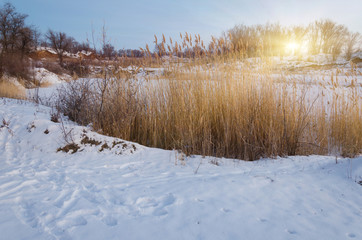 Beautiful winter landscape with snow covered trees and lake.
