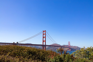 Fototapeta na wymiar Foliage with the Golden Gate Bridge in San Francisco, California.