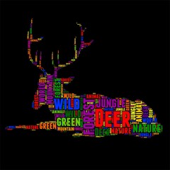 Deer Typography word cloud colorful Vector illustration