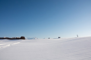 雪原と青空