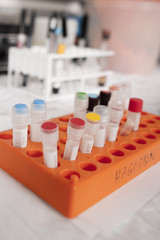 Test Tubes in Lab Test environment 