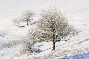 Winter mountain scenery in Bieszczady mountains, South Eastern Poland