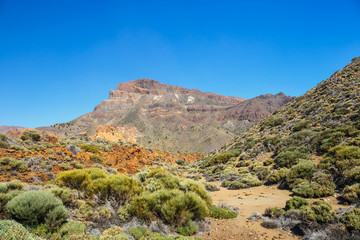 Fototapeta na wymiar Roques de Garcia and El Teide Volcano, Tenerife Island, Spain