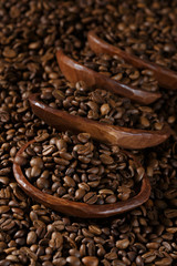 Coffee beans on a dark background