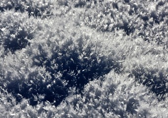 neige...cristal