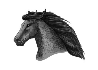 Horse head of running mustang vector sketch