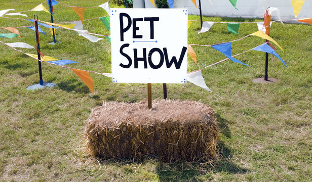 County Fair Children's PET SHOW Sign Fixed To A Hay Bale.