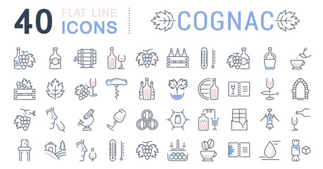 Obraz na płótnie Canvas Set Vector Flat Line Icons Cognac