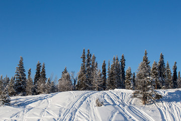 Pente enneig&eacute;e recouverte de pistes de motoneige, Yukon