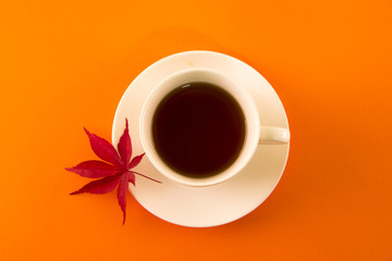 Autumn Maple Leafs