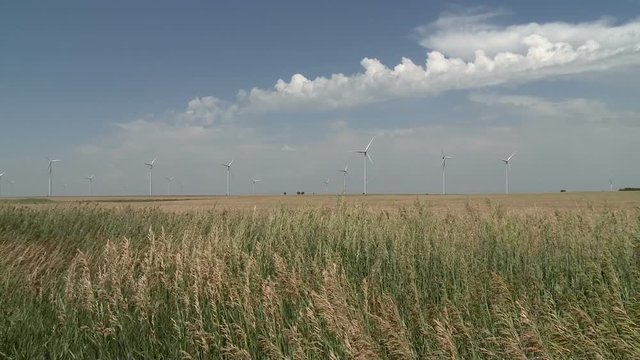 The Wind Drives Turbines and Waves Wheat