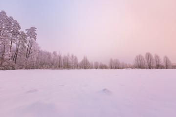 Winter foggy landscape in polish countryside