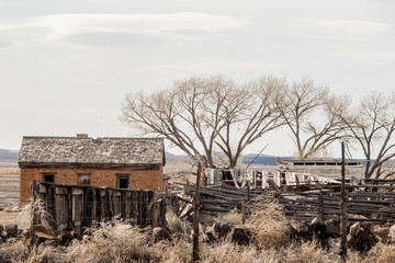 abandoned homestead