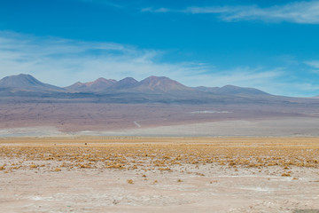 Fototapeta na wymiar Alma in Atacama Desert, Chile.