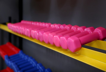 Bright dumbbells on rack in gym