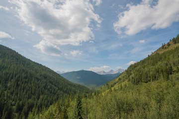 Forested Valley