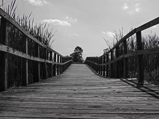 Obraz premium The Bridge