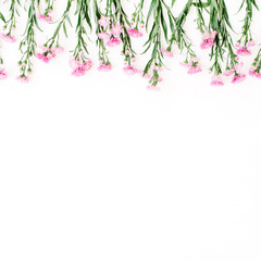 Pink wildflowers on white background. Flat lay, top view. Creative nature concept