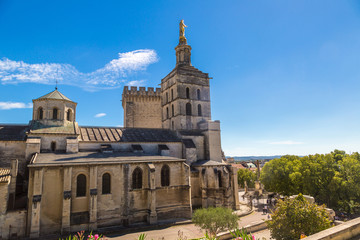 Fototapeta na wymiar Cathedral and Papal palace in Avignon