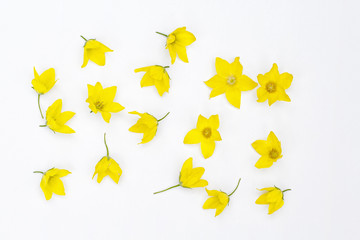 Yellow flowers shaped in a pattern on white background
