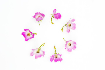 Fototapeta na wymiar Pink roses in the shape of the circle on white background
