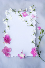 Spring, floral background with white paper and white lobelia