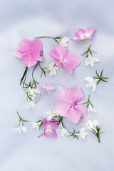Fototapeta na wymiar Pink hortensia and white lobelia on fabric background