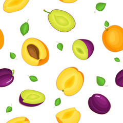 Seamless vector pattern of ripe plum apricot fruit. White background with delicious juicy plums apricots whole leaf slice half. Vector fresh fruit Illustration for printing on fabric, textile design
