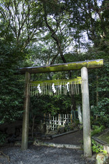 Fototapeta premium Kaiko no Yashiro in kyoto