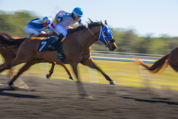 Horse Race colorful bright sunlit slow shutter speed motion effect fast moving thoroughbreds - obrazy, fototapety, plakaty